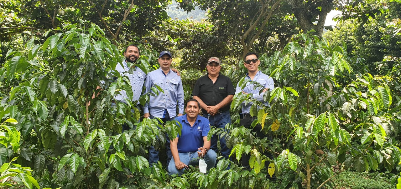 Guatemala_Honduras_Proyecto Café Resiliente Nestlé Anacafé.jpg
