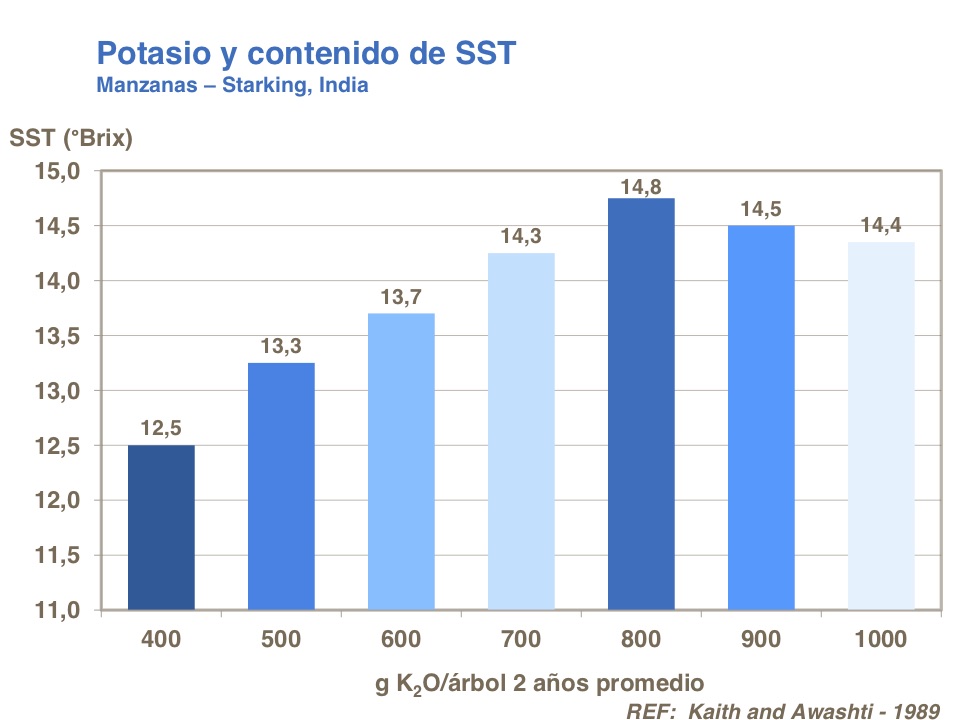 Potasio04