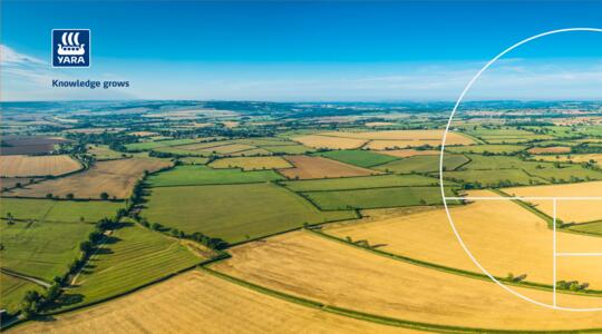 Términos y condiciones generales de venta